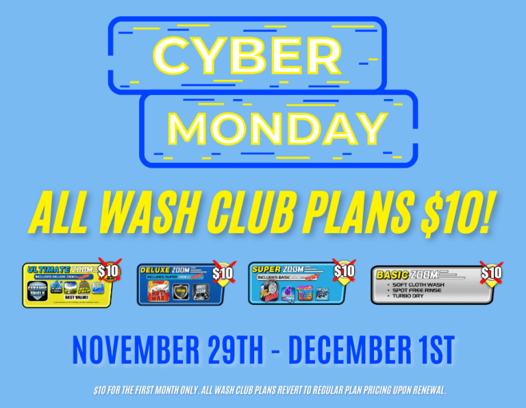 Website Homepage (16)